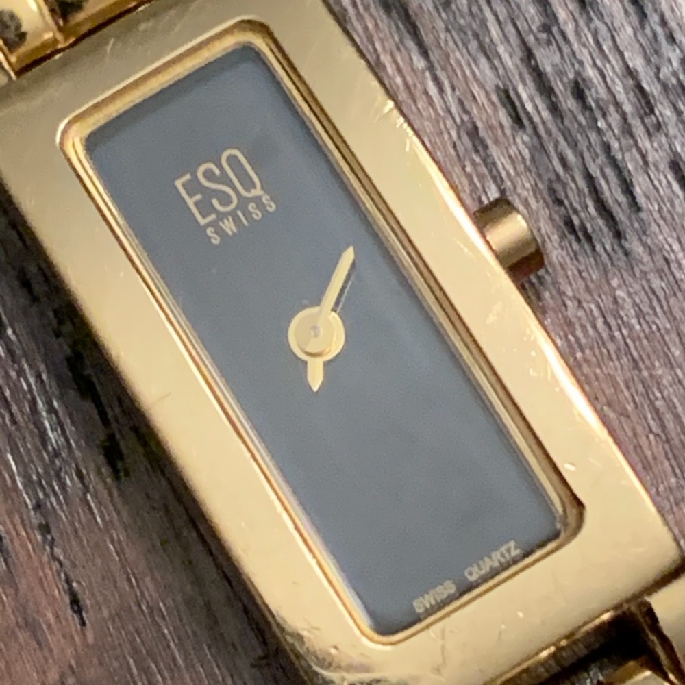 ESQ by Movado Swiss Watch